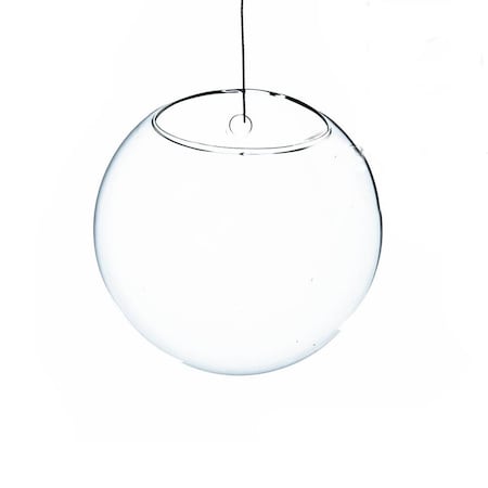 Vista 5 in. Dia. Clear Half-Round Wall Hanging Terrarium & Vase, PK2 VI2626655